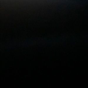 Meet your Posher, Troy